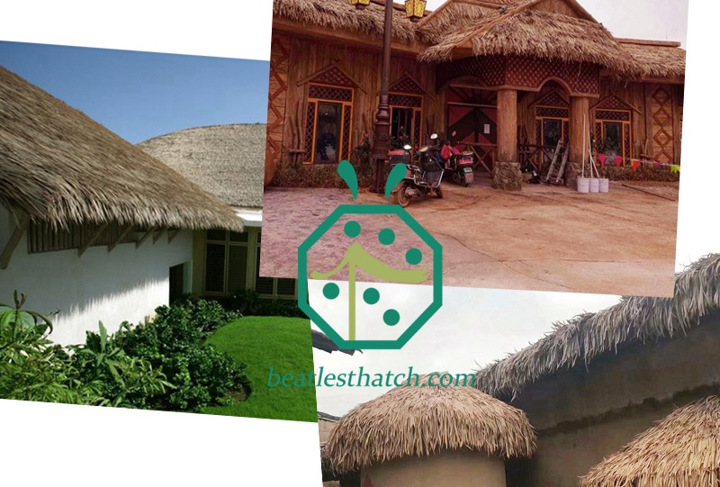 Artificial thatched roofing for bohio building in tourism places