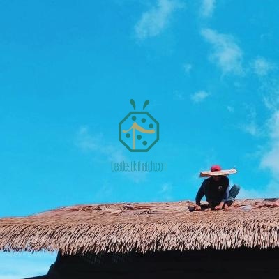 Vật liệu lợp mái bằng lá dừa nước nhân tạo chống cháy