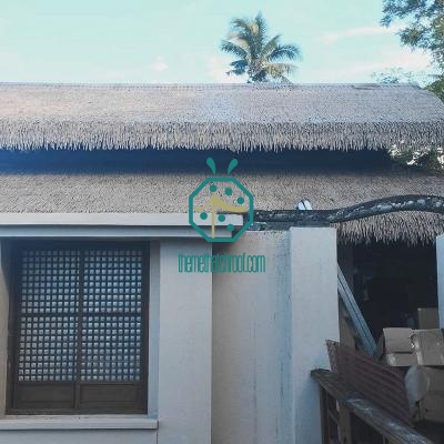Tùy chỉnh mái tranh giả Nipa Hut