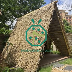 Outdoor Facilities Viva Fire Rated Palm Thatch Roof