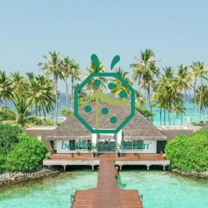 Thiết kế mái tranh tổng hợp Palapa