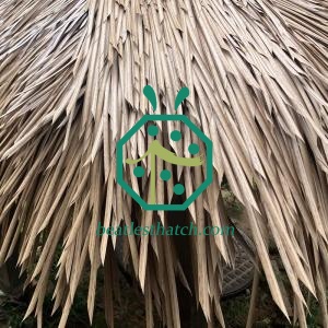 Tòa nhà bãi biển Mái tranh tổng hợp nhân tạo