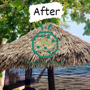 Tấm lợp Palapa nhân tạo chống cháy