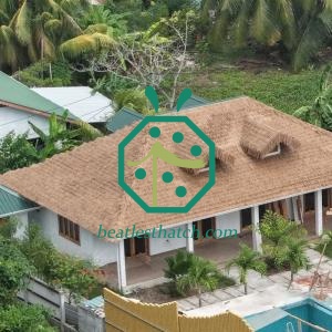 Sản xuất tấm lợp tranh nhân tạo quy mô lớn cho Seychelles