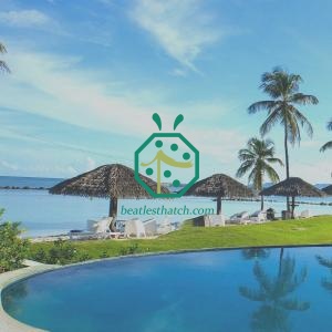 Artificial Fireproof Palapa Palm Thatch Panel French Polynesia