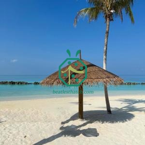 Nhà gỗ kiểu bungalow trên mặt nước tại khu nghỉ dưỡng ven biển, mái lợp bằng nhựa.