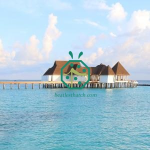 Giao hàng nhanh chóng Tấm lợp mái tranh tổng hợp Papua New Guinea