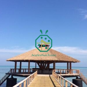 Wooden House Synthetic Thatch Roof Covering