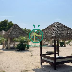 Mái lợp bằng lá cọ chống thấm nước, chịu được mọi thời tiết, lý tưởng cho các điểm đến danh lam thắng cảnh ở Palau.