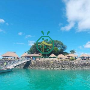 Entertainment Bars Artificial Palm Leaf Roof