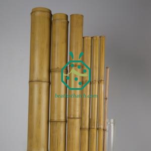 Wholesale Various Colors and Diameters Plastic Bamboo Sticks