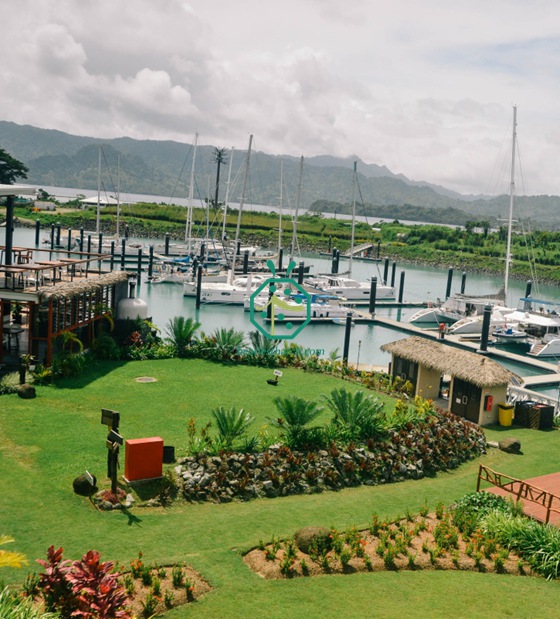 Mái lợp bằng lá cọ sợi cho trang trí nhà Fiji Bure