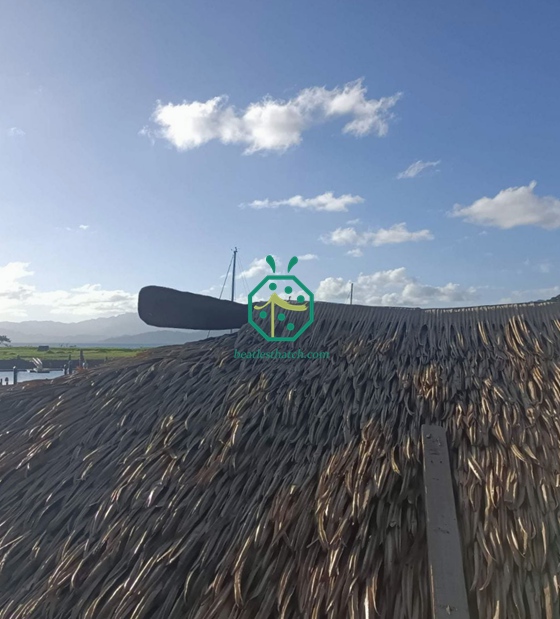 Trang trí mái nhà bằng cây cọ Fiji Real Estate