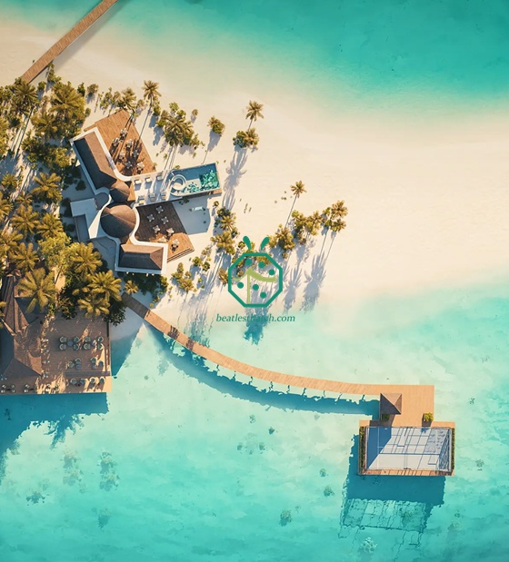 Trang trí mái tranh giả Cadjan cho khu vực đón khách tại Maldives.