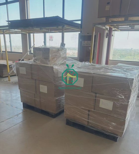 Lô hàng Mái lợp sợi và Màn che riêng tư của Đảo Seychelles