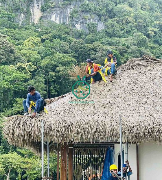 Philippines Xây dựng mái nhà tranh chống cháy Nipa Hut