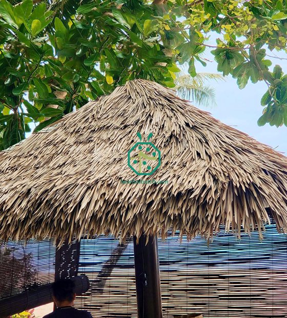 Dự án mô hình mái nhà khách sạn Sabah Beach Malaysia Atap Thatch