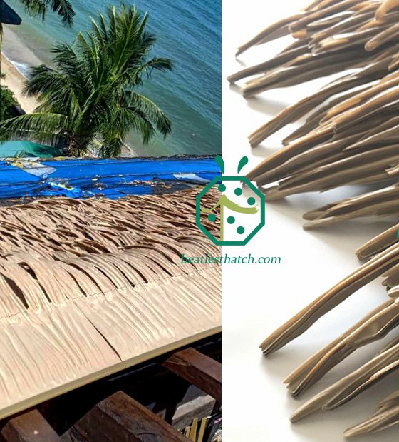 Mái nhà Palm Palm cho Dự án câu lạc bộ lặn Philippines