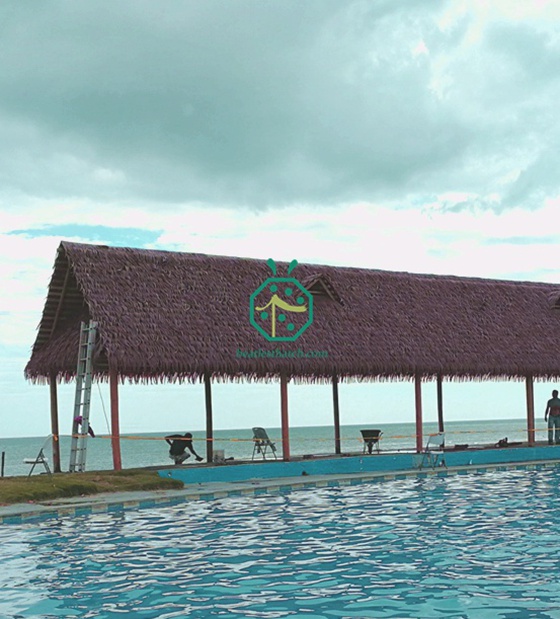 cọ tổng hợp lợp mái cho hồ bơi bãi biển panama