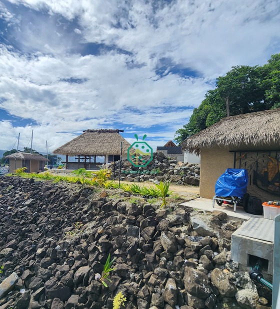 Xây dựng ngôi nhà trên đảo Fiji bằng tấm lợp lá cọ tổng hợp