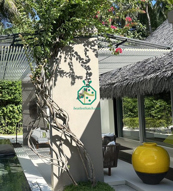 Maldives Garden Backyard Plastic Cadjan Mái nhà tranh